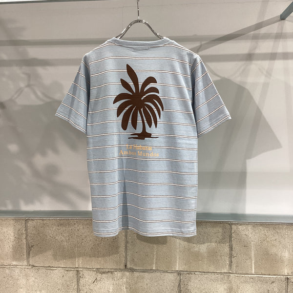 DOUBLE STANDARD CLOTHING ダブルスタンダードクロージング　DSC / マルチボーダー ロゴ刺繍Tシャツ